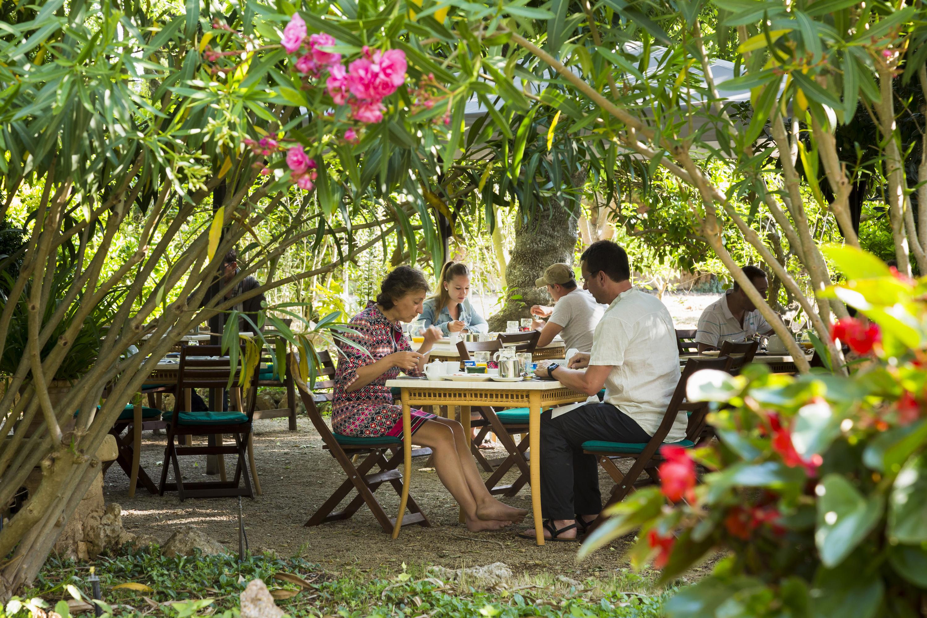 Agroturisme Sa Torre (Adults Only) Santa Eugenia Ngoại thất bức ảnh